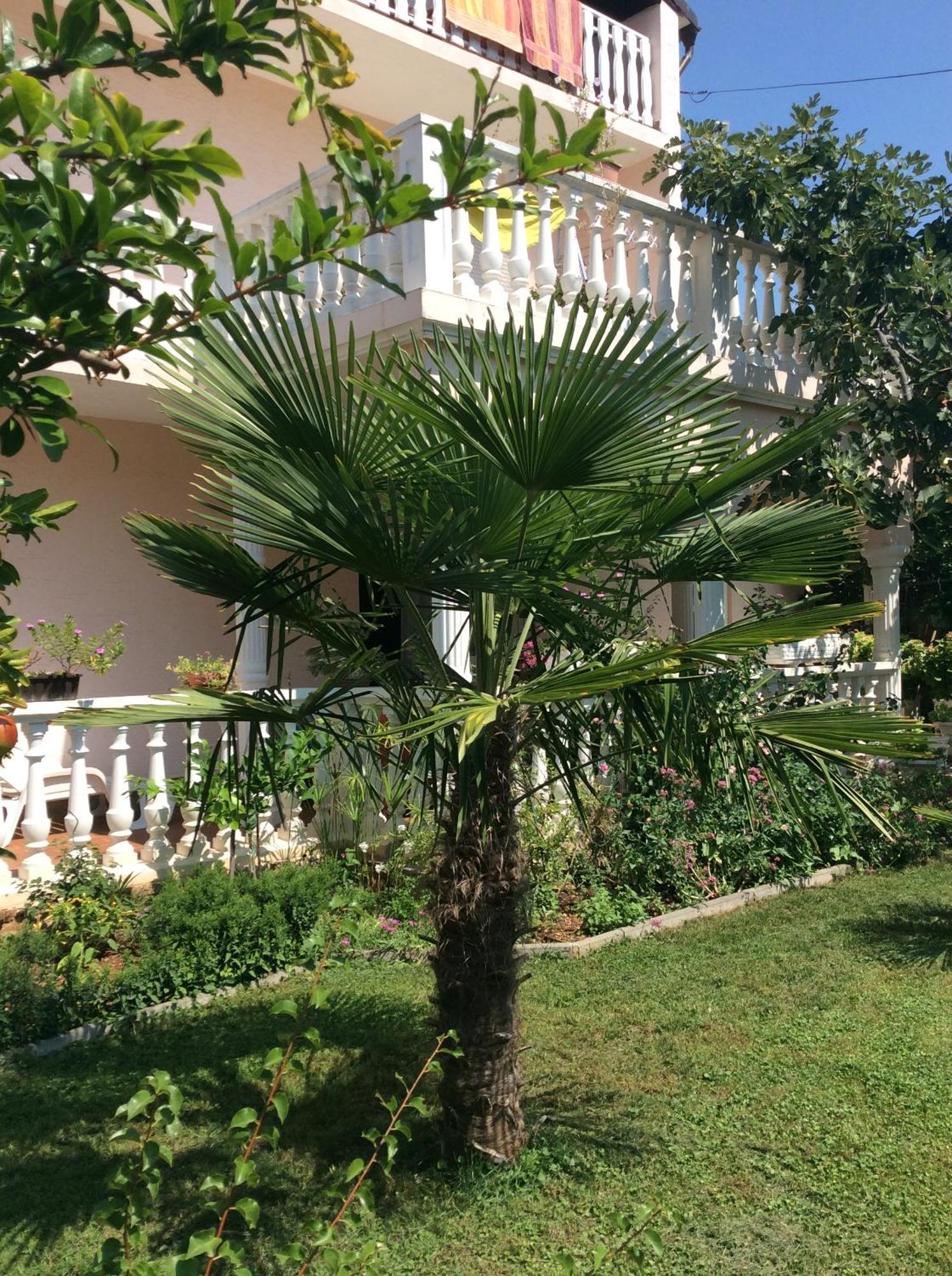 Villa Chiara Vodice Bagian luar foto