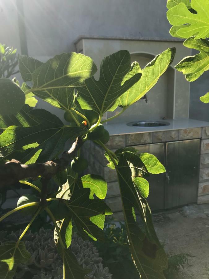 Villa Chiara Vodice Bagian luar foto