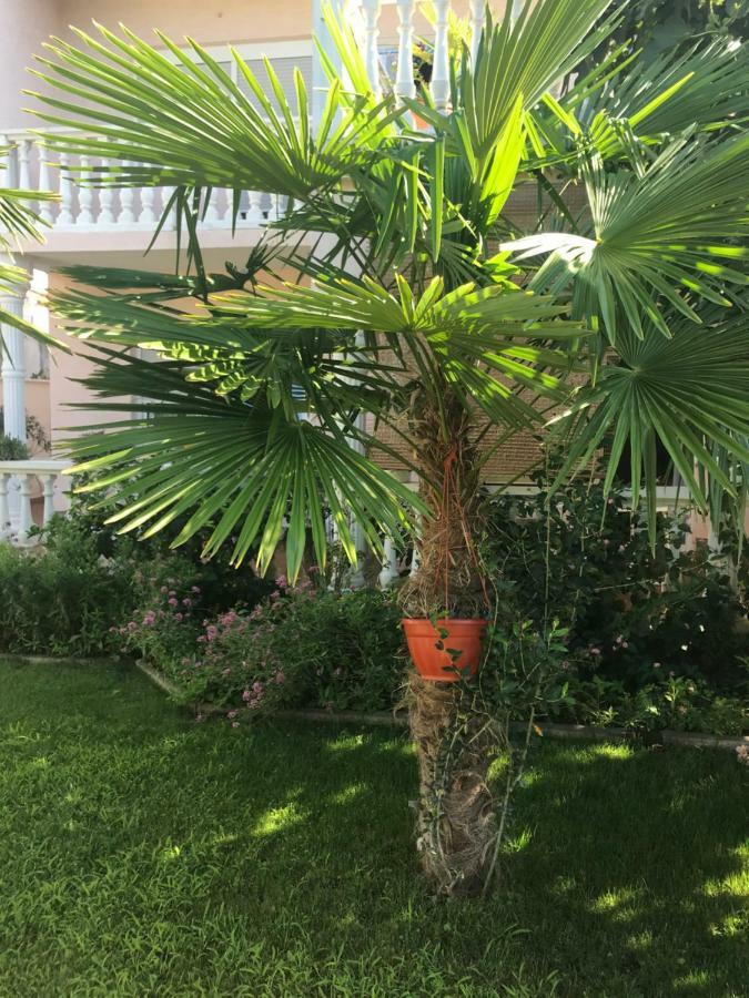Villa Chiara Vodice Bagian luar foto